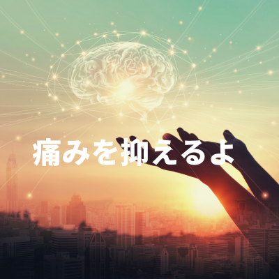 脳の鎮静物質