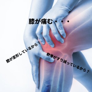 膝　膝の痛み　膝の内側の痛み　痛み