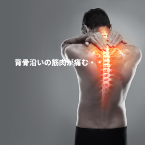 腰痛　背中の痛み　脊髄神経後枝